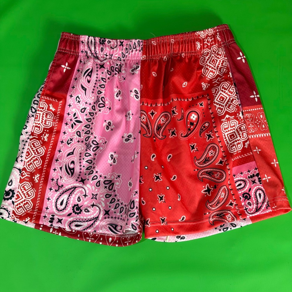 Bravest Studios Paisley Mesh Shorts Mens M Streetwear Pink Bandana Print AOP